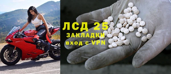 индика Красноперекопск